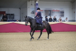 Class 101 Equitation (best rider), Junior portfolio