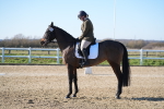 SBM_003423