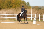 SBM_009224