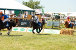 SBM_16916
