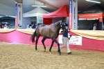 SBM_18587