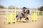SBM_000614
