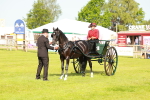 SBM_01194