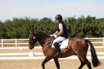 SBM_003764