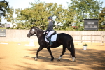 SBM_18348