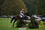 312-HALVANNA.THE.LAST.SONG-Holly.Horton-XC portfolio