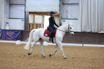 Class 3-6 - Prelim 1-Novice 2 portfolio