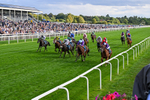 190826-Race 7-Henley On Thames-0788