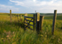 Fulking Escarpment