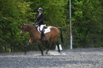 WJ5_9831