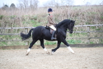 SBM_006056