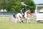 SBM_17574