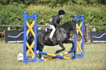 Ring 2 - Novice Jumping portfolio