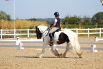 SBM_008421