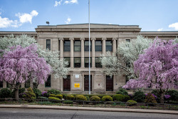 Schenley High School (Pittsburgh, PA) | Springtime