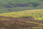Ennerdale -7