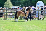 SBM_06446