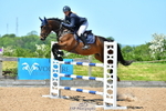 Cls 3 Foxhunter portfolio
