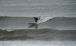DSC_1216