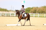 SBM_008003