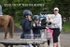 BPP_7568