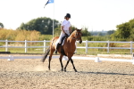 SBM_007788