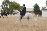 SBM_06419