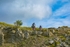 DSCF8863