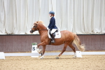 SBM_010336