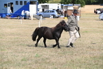 WJ6_6810