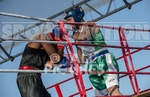 Boxing_Guernsey v Manchester-22