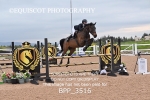 BPP_3516