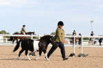 SBM_16959