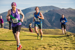 Sale Fell-220