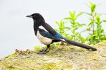 20140621-3K8A2460