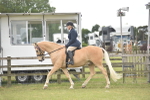 SBM_15945