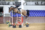 Class 17 - Senior Foxhunter - 1.20m portfolio