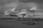Black mount (1) B&W