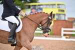 281-Caroline.Stagg-Dycott.Classy.Rose portfolio