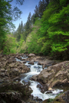 Afon Llugwy near Betws-y-Coed