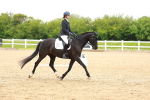 SBM_006517