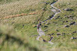 Old County Tops-5