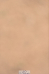 231011A-110424-00150