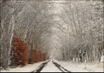 Morton Lane in Snow