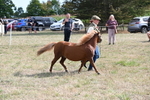 WJ6_6961