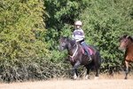 WJ6_7917