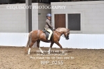BPP_0255