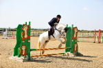 SBM_000729