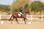 SBM_017514