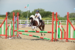 SBM_011562